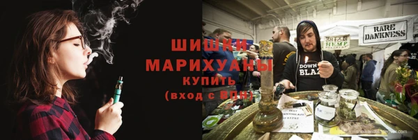 гидра Богородск
