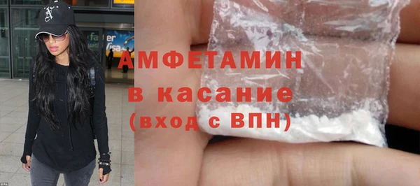 гидра Богородск