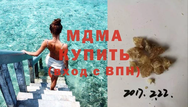 гидра Богородск