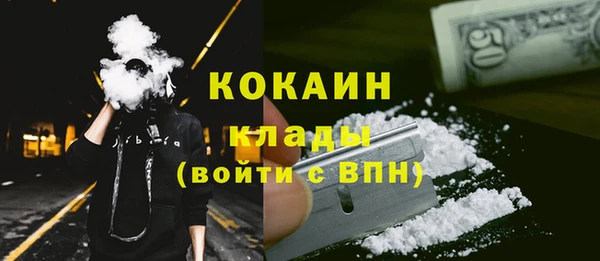 гидра Богородск