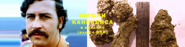 гидра Богородск