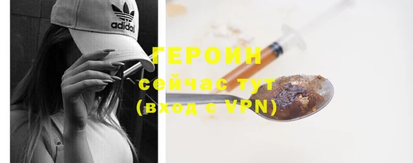 гидра Богородск