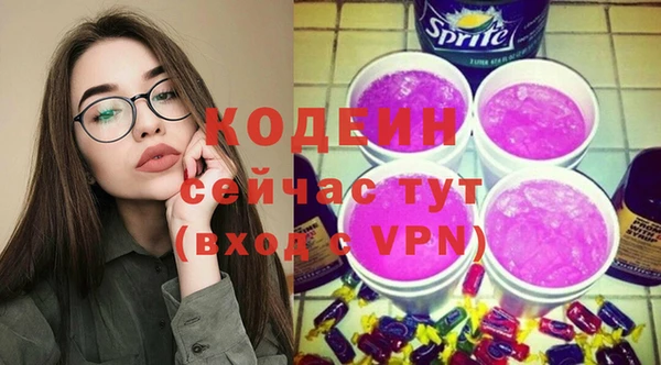 гидра Богородск