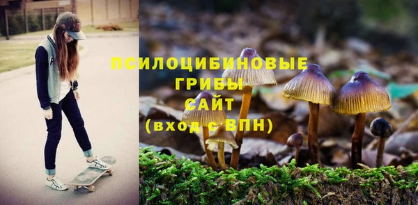 каннабис Богородицк