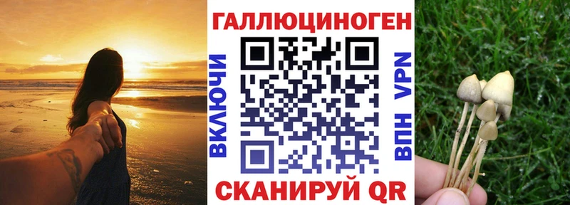 OMG ссылка  наркота  Козьмодемьянск  Галлюциногенные грибы прущие грибы 