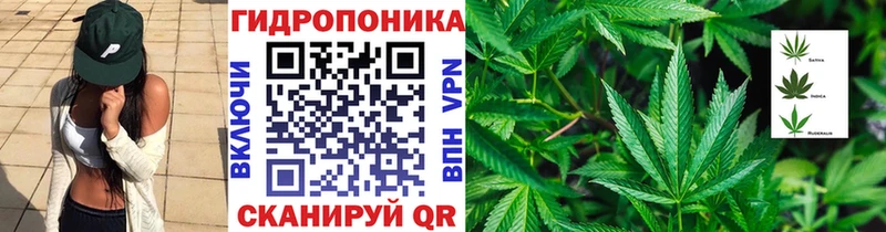 Бошки Шишки план  сколько стоит  Козьмодемьянск 